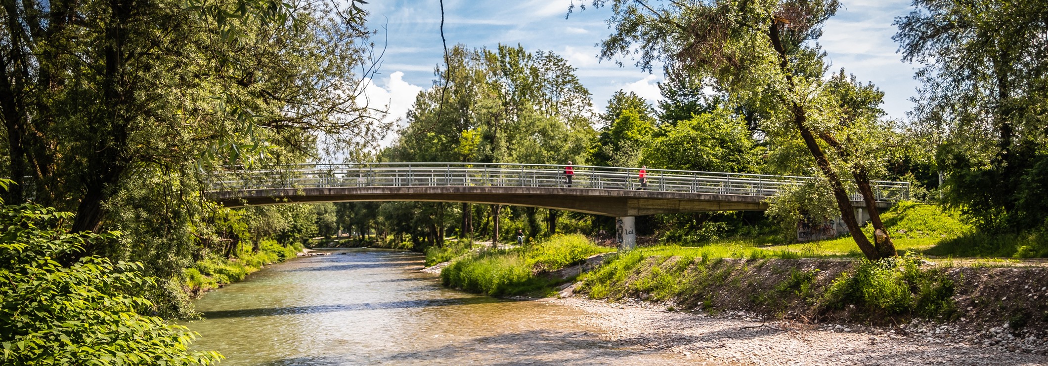 Zelena os, ki osrečuje
