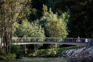 Most želja Homec