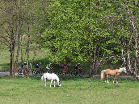 3-VN-OBCINE-DOMZALE-2026-0824