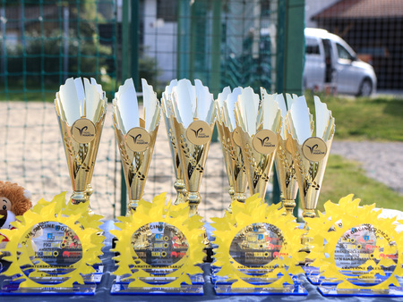 3-VN-OBCINE-DOMZALE-2026-0009