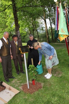 Slavnostna posaditev lipe; foto: Drago Juteršek