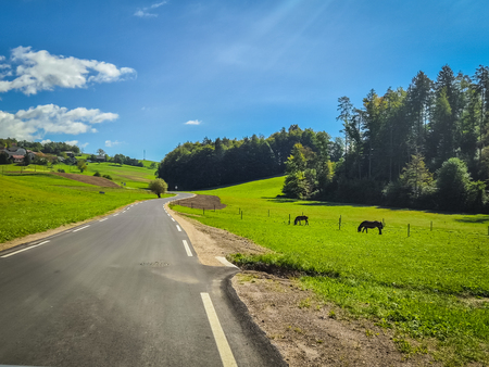Cesta skozi Dolenje; foto Karin Božič Zupančič