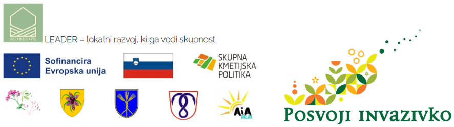 LOGOTI